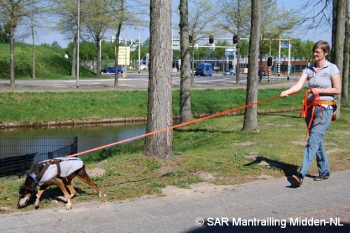 SARmantrailingMiddenNL Impressie 25