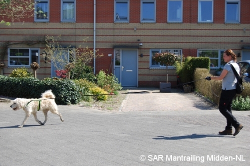 SARmantrailingMiddenNL Impressie 28