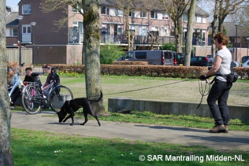 SARmantrailingMiddenNL Impressie 33
