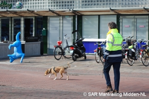 SARmantrailingMiddenNL Impressie 37