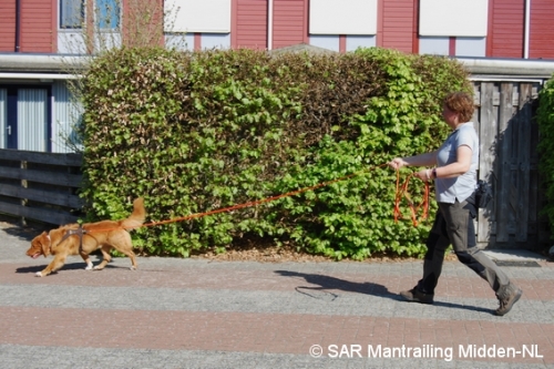 SARmantrailingMiddenNL Impressie 42