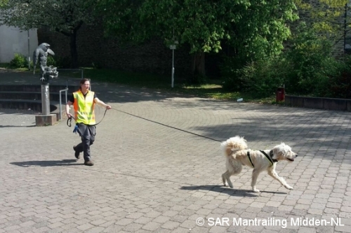 SARmantrailingMiddenNL Impressie 43