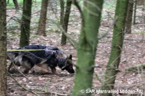 SARmantrailingMiddenNL Impressie 44